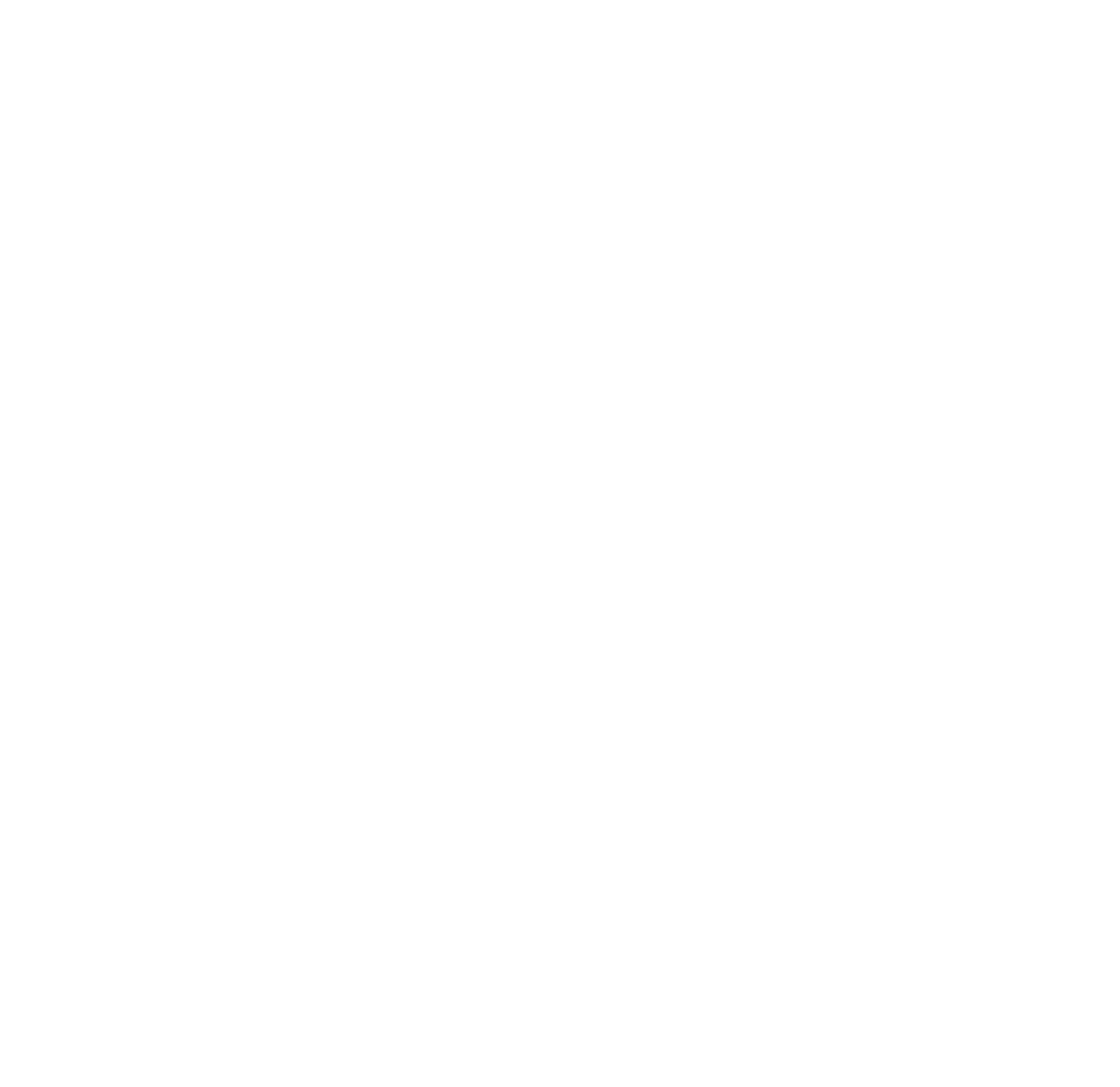 Logo Velvet